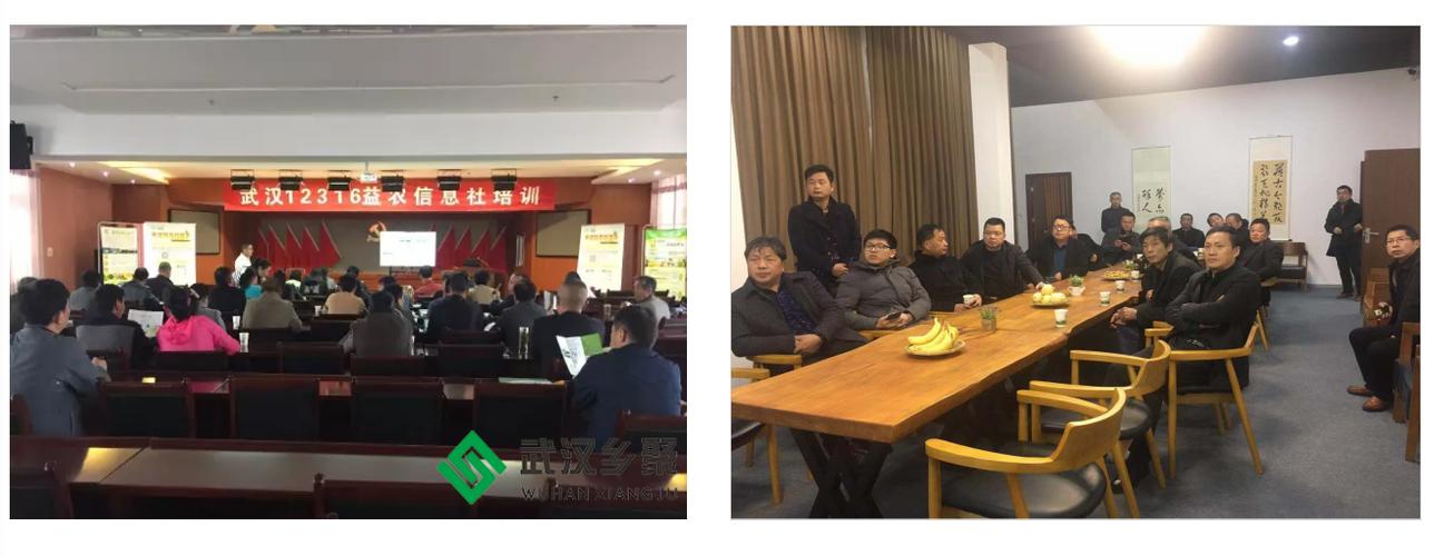 开发,旅游项目策划;文化艺术交流策划;商务信息咨询